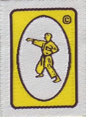Lunge punch